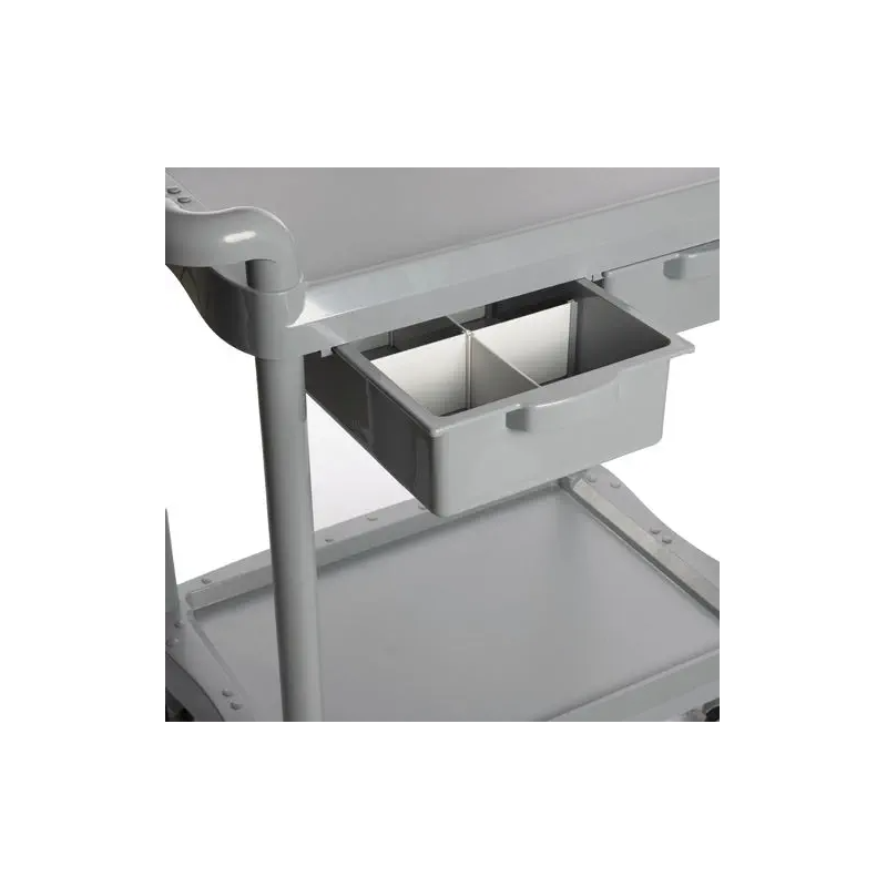 Multifunction P2G Trolley